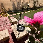 아파트 Bodza 2 -